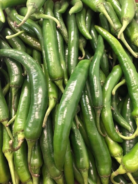 fresh long green chilli