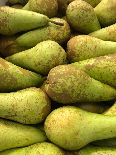 an arrangement of fresh conference pears