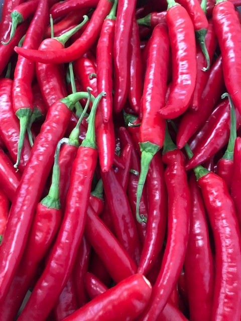 fresh red chilli