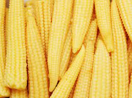 pile of fresh babycorn