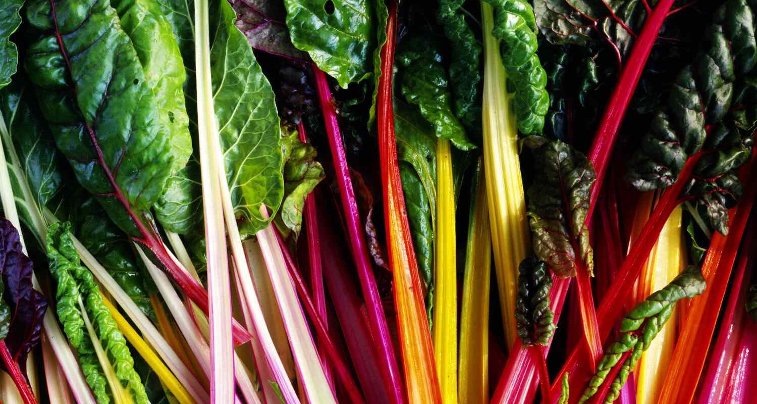 rainbow chard leaves