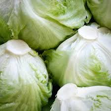 pile of iceberg lettuces