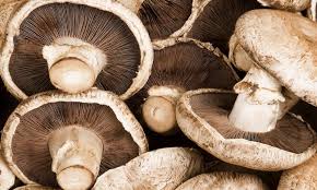 pile of fresh portobello mushrooms
